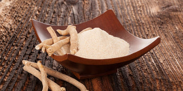 Ashwagandha Root Powder in a Bowl with Fresh Ashwagandha Roots