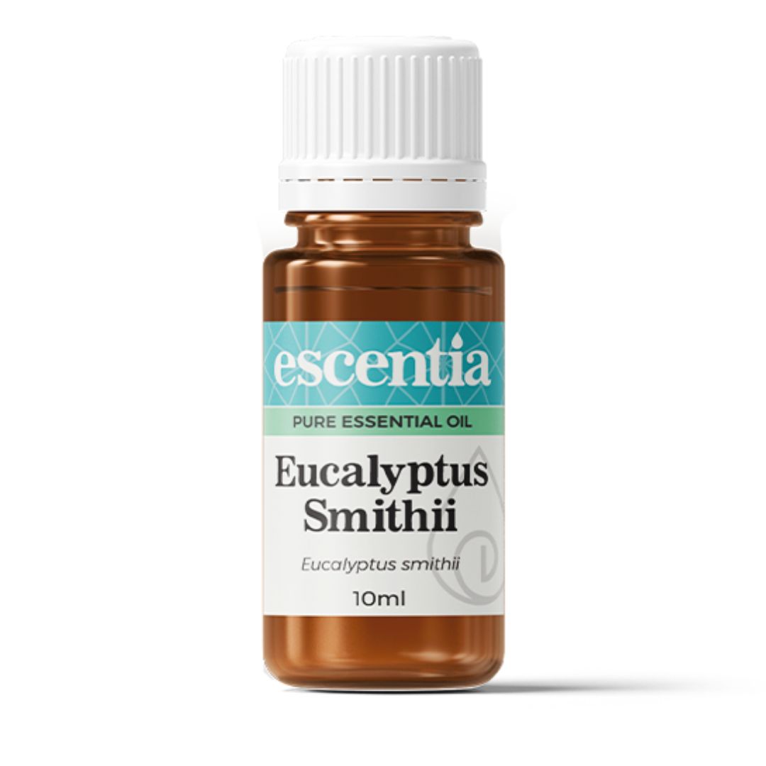 Escentia Eucalyptus Smithii Essential Oil bottle