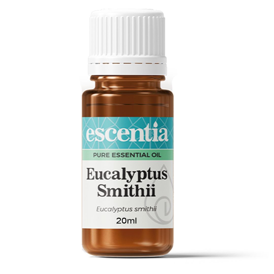 Escentia Eucalyptus Smithii Essential Oil bottle