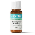 Eucalyptus (Eucalyptus radiata) Pure Essential Oil