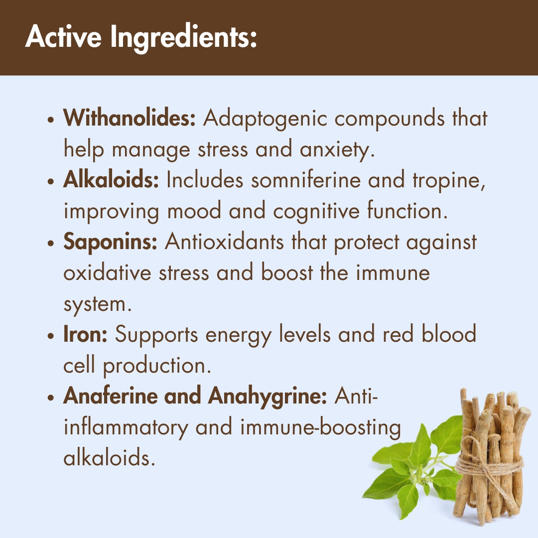 Organic Ashwagandha Powder in Bulk