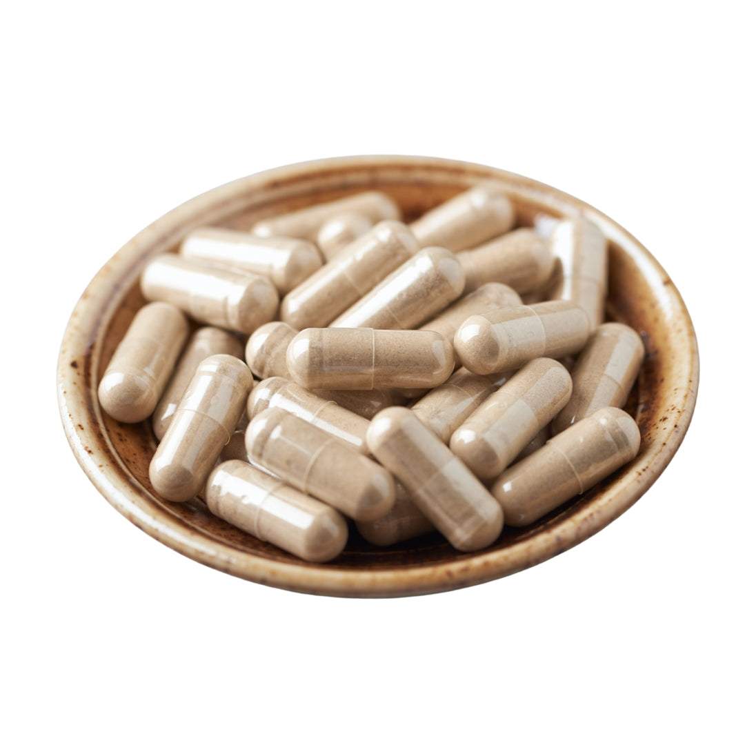 Ashwagandha Root Powder Capsules Bulk and Wholesale